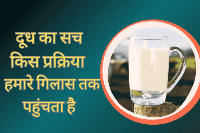 दूध का सच: क्या आप जानते किस प्रक्रिया से गुज़र कर हमारे गिलास तक पहुंचता है